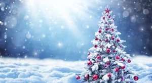 CONGES NOEL 2024